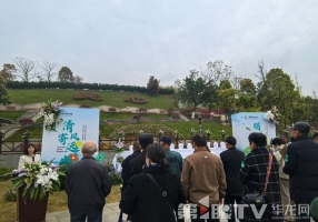与鲜花一起“沉睡” 重庆27位逝者以生态葬回归自然