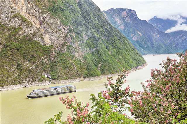九月十三日，长江三峡巫峡两岸紫薇花盛放，与远山、近水、城市、桥梁等相映成景。船行其间，美如画卷。特约摄影 王忠虎\视觉重庆
